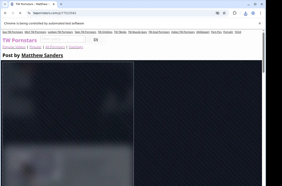 Twpornstars Video Downloader browser extension screenshot 2