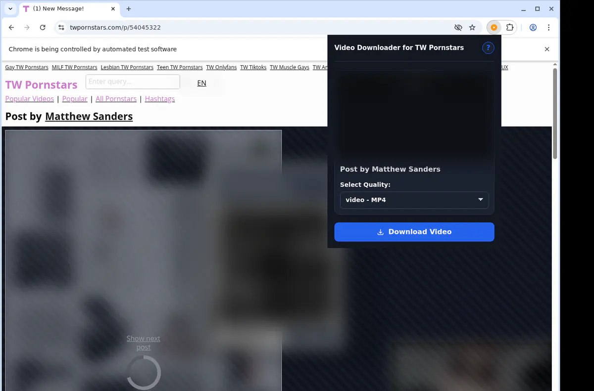 Twpornstars Video Downloader browser extension screenshot 3