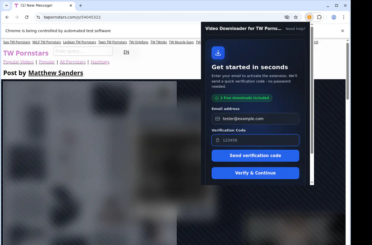 Twpornstars Video Downloader browser extension screenshot 4