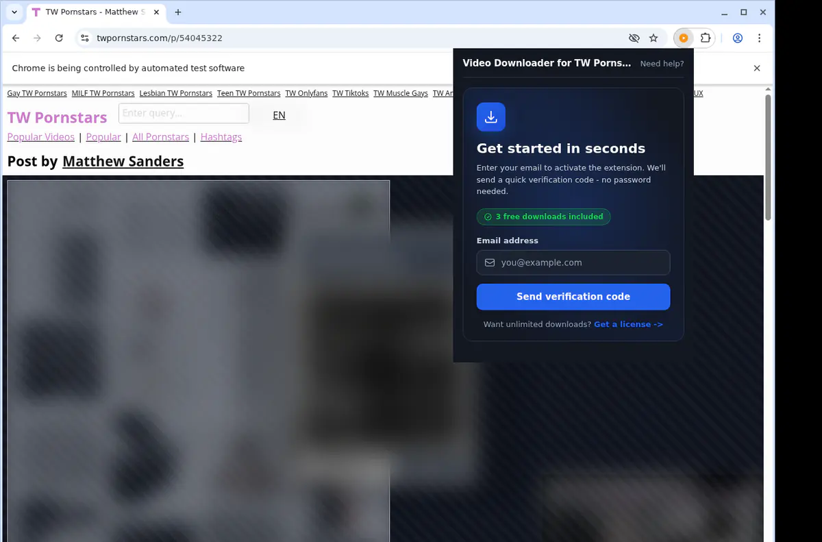 Twpornstars Video Downloader browser extension screenshot 5